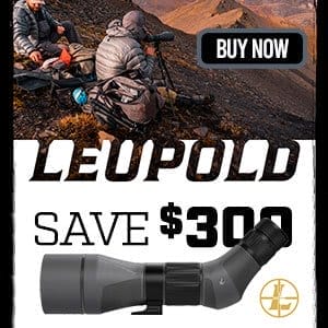 Leupold BX-5 Santiam HD 10x42mm Shadow Gray Binoculars