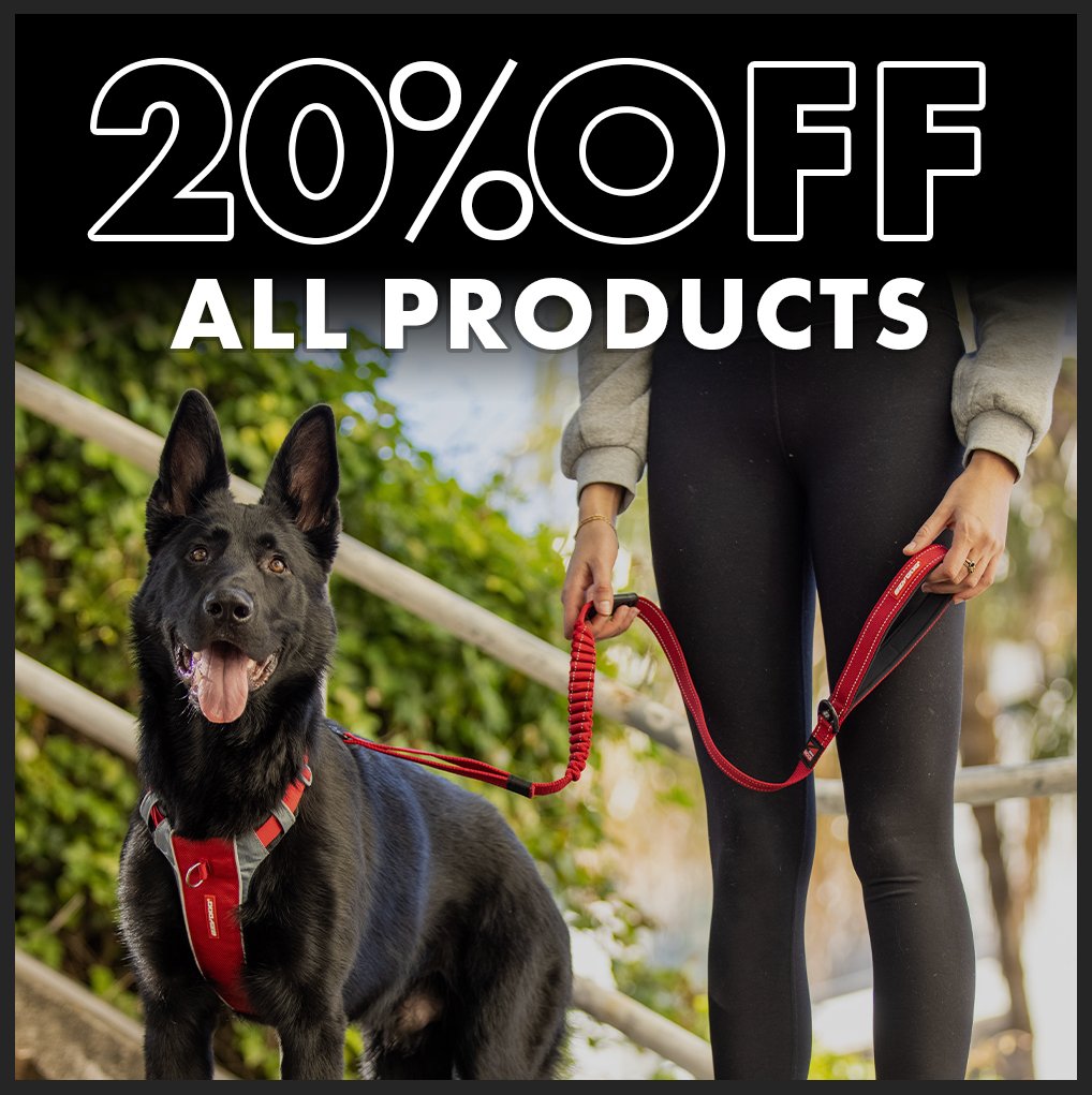 20% Off All Products