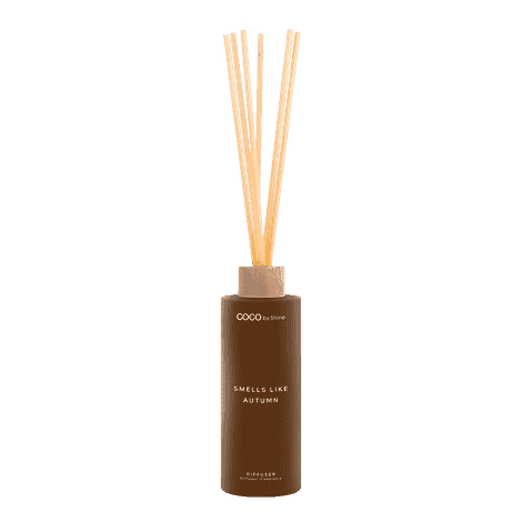 5oz Reed Diffuser (Smells Like Autumn)