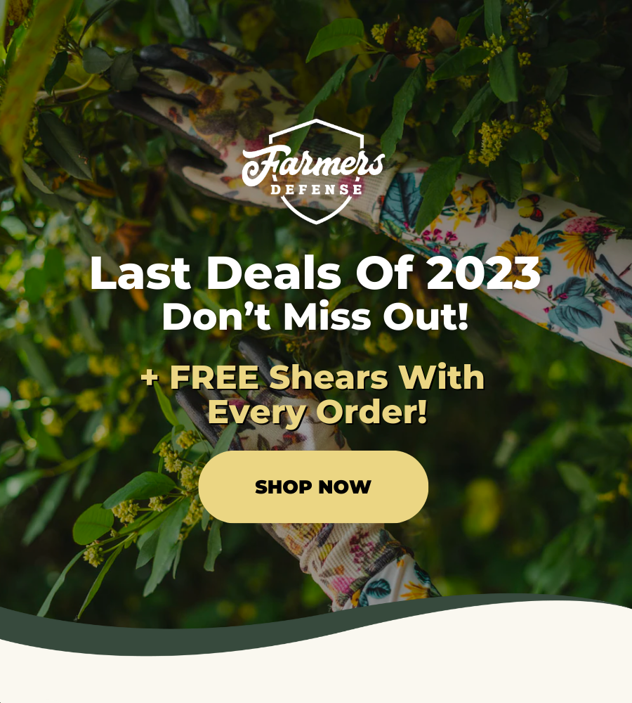 The Last Deals Of 2023. Don't Miss Out!