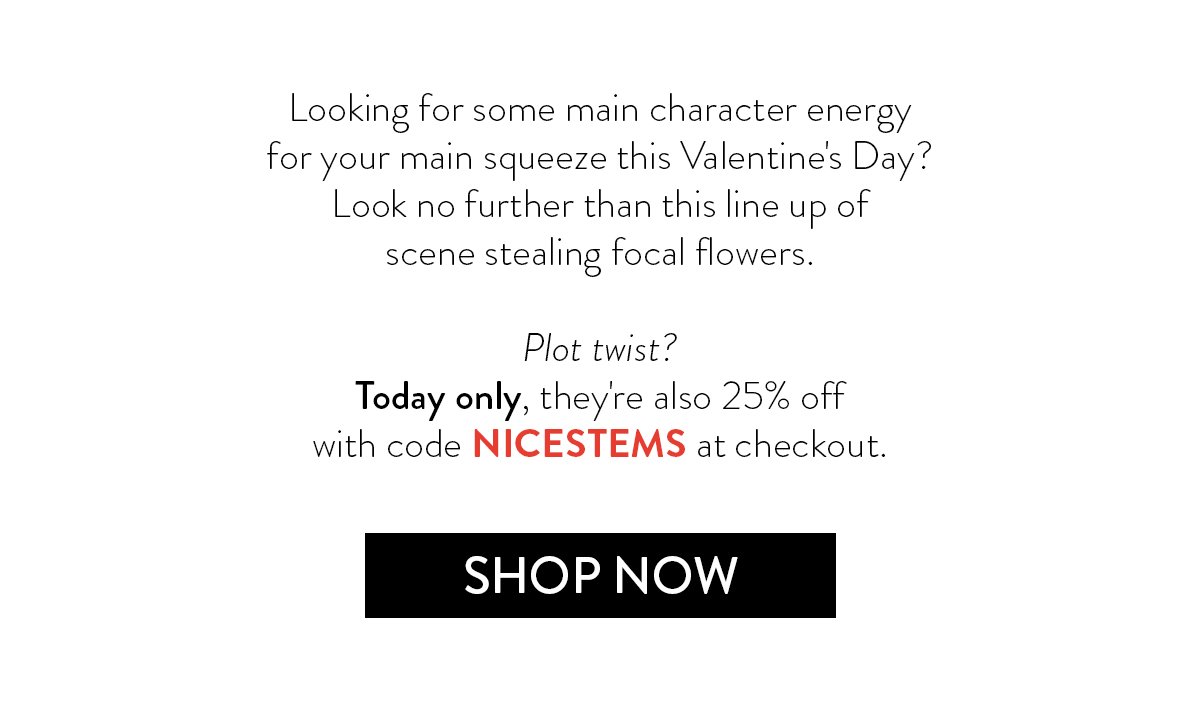 Looking for some main character energy for your main squeeze this Valentine's Day? Look no further than this line up of scene stealing focal flowers. Plot twist? Today only, they're also 25% off with code NICESTEMS at checkout.