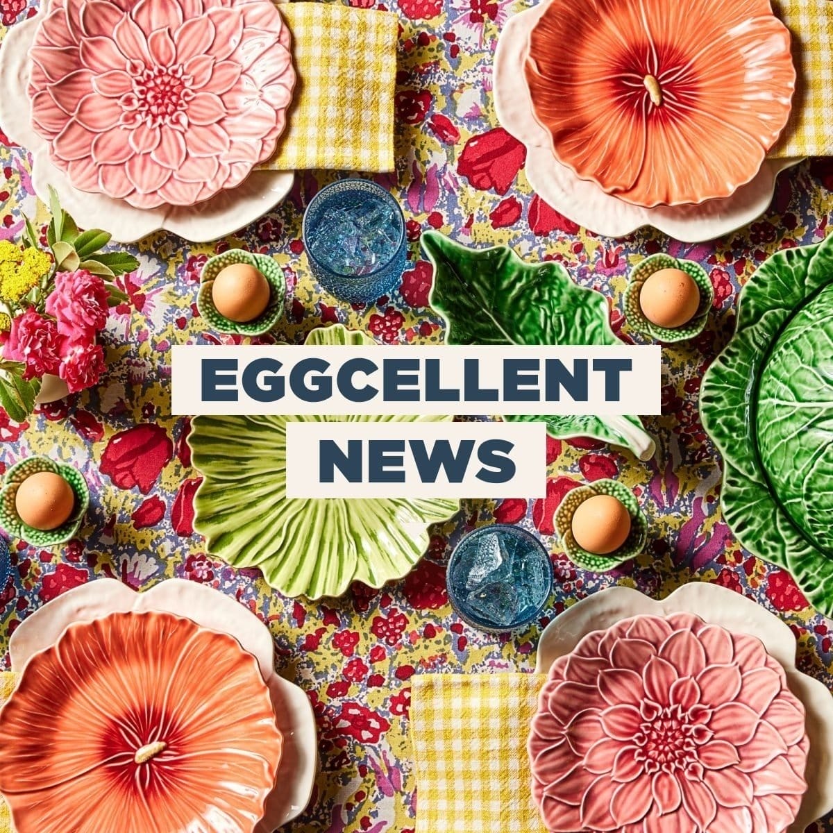 Eggcelent News