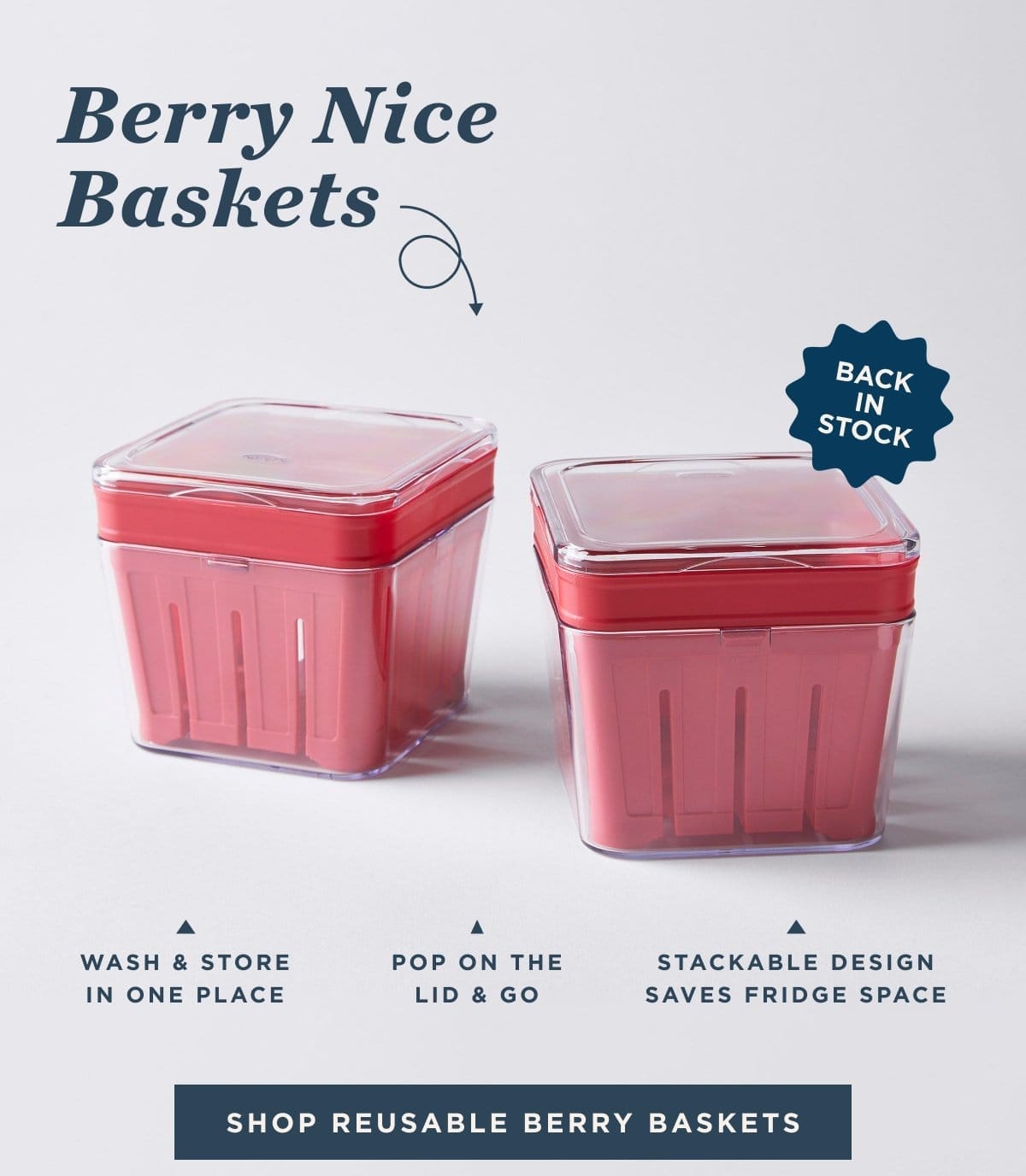 Shop Berry Baskets