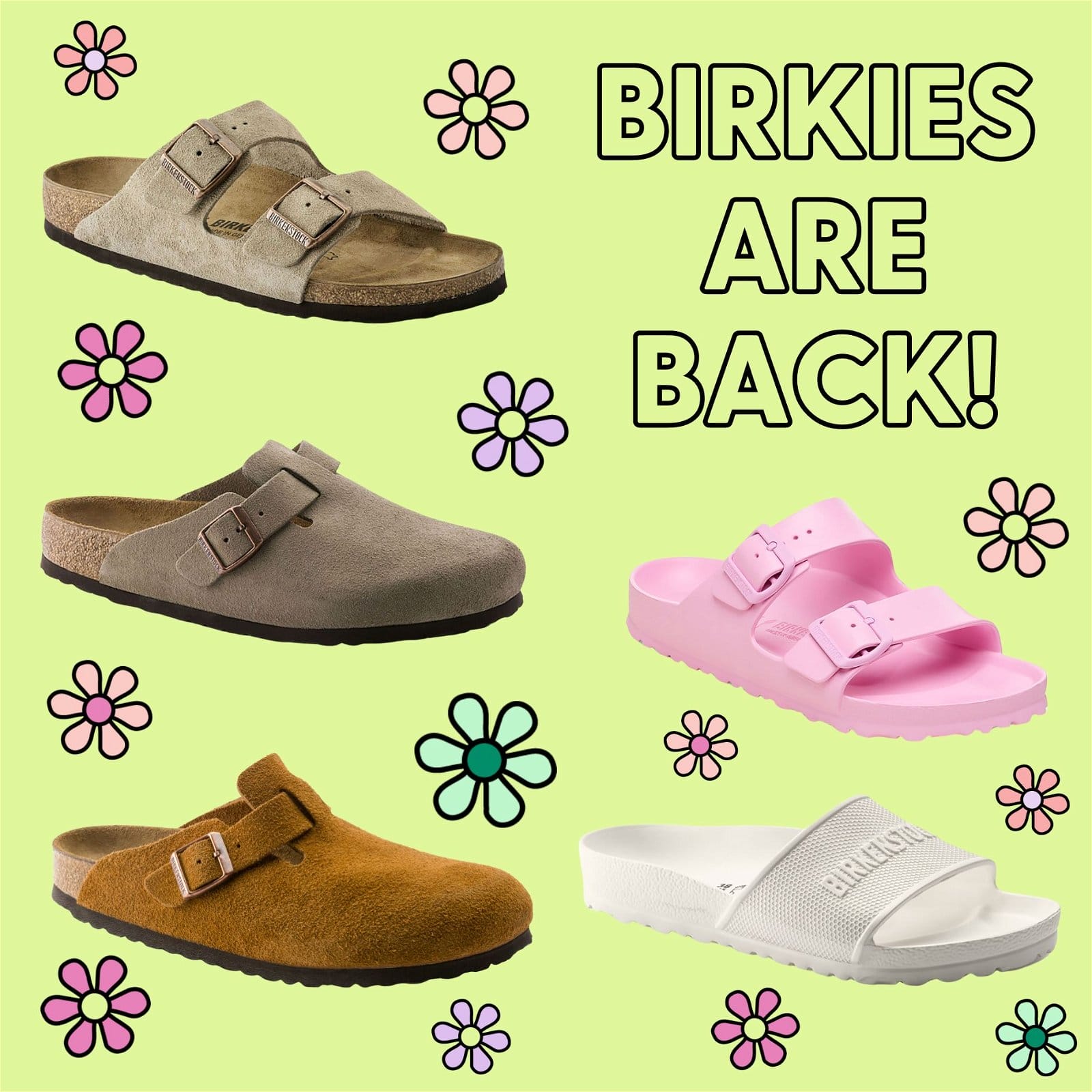 Birkies are Back!