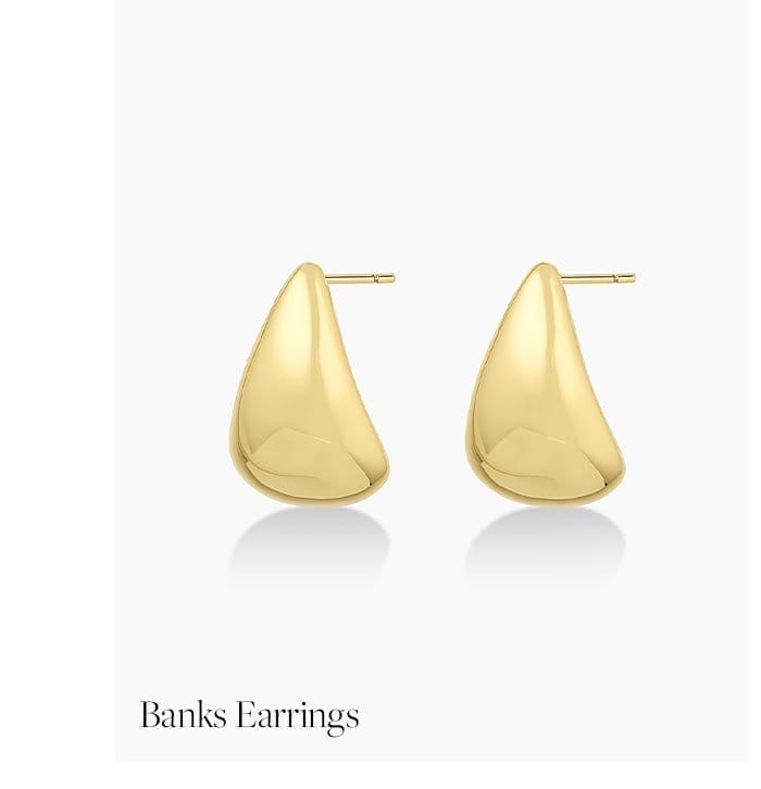 Banks earrings