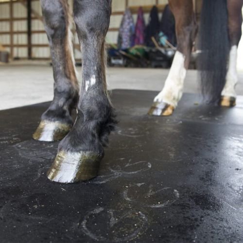 horse hooves on smooth stall mat closeup