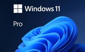 Microsoft Windows11 Professional