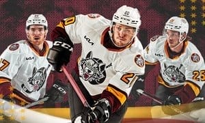 Chicago Wolves Hockey - Up to 33% Off