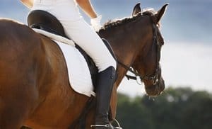 Private Horseback-Riding Lessons