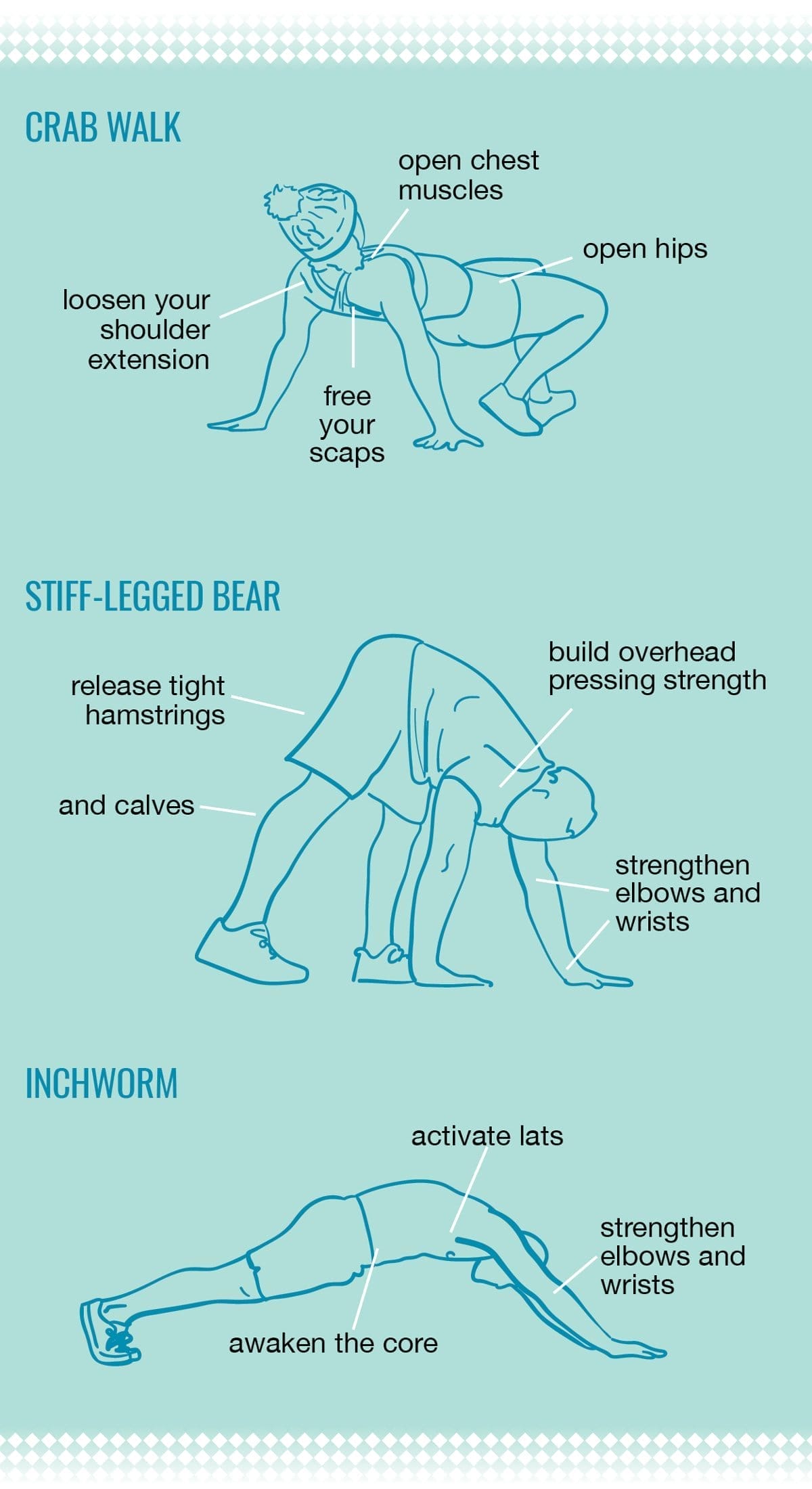 Hip Flexors