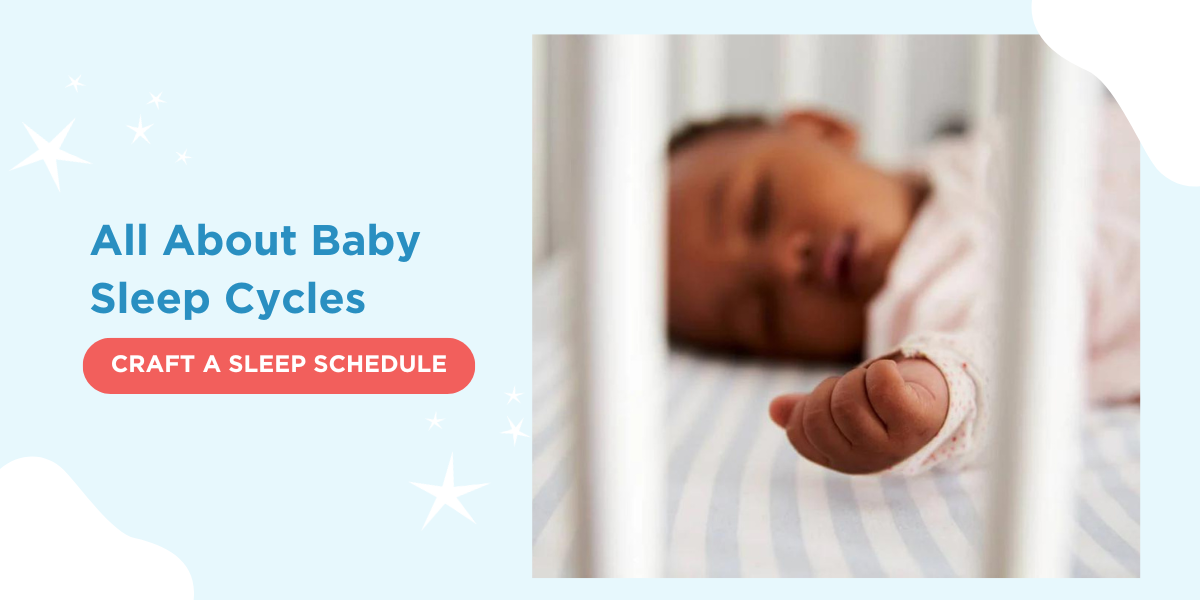 All About Baby Sleep Cycles CRAFT A SLEEP SCHEDULE