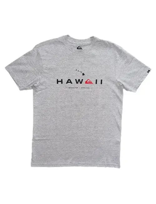 Quiksilver Hi State of Mind T-Shirt- Gray