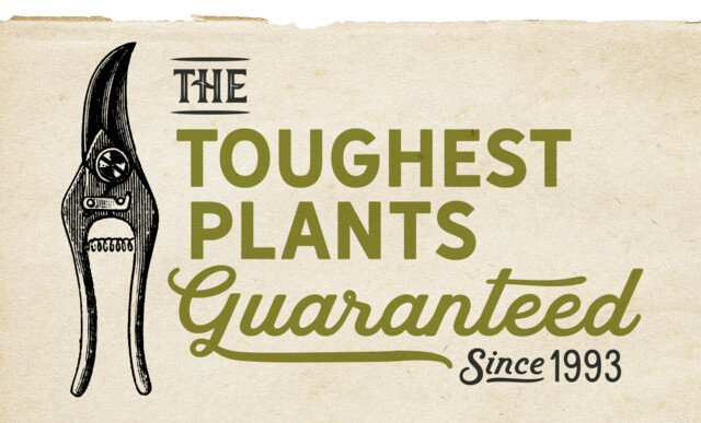 The Toughest Plants Guaranteed