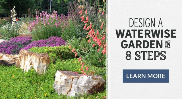 Design A Waterwise Garden In 8 Steps Learn More
