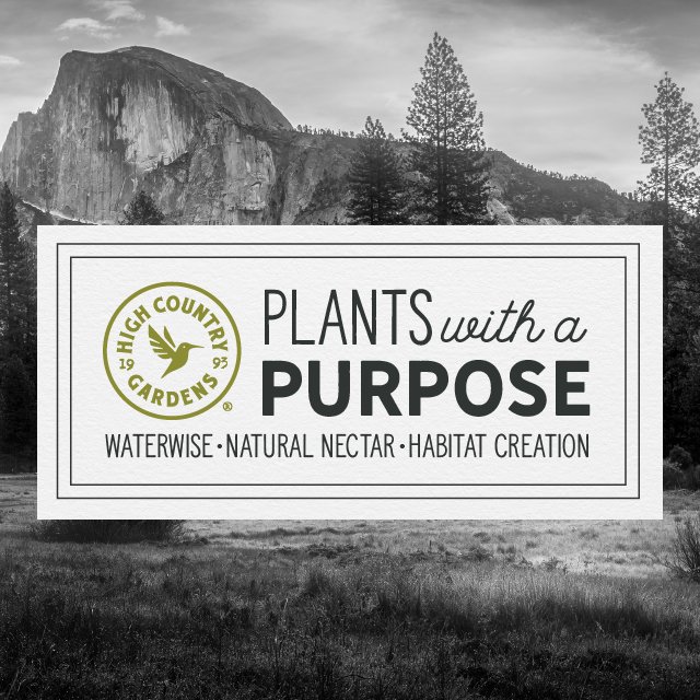 Plants With A Purpose - Waterwise, Natural Nectar, & Habitat Creation