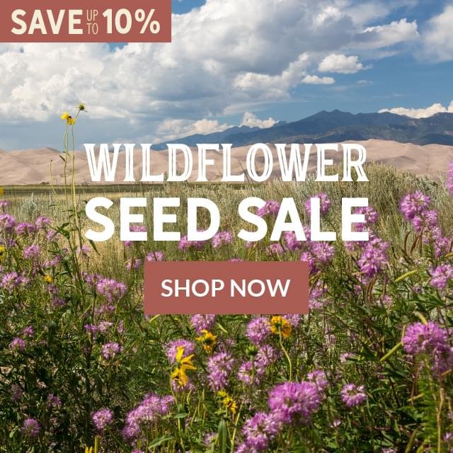 Save Up To 10% Wildflower Seed Sale Shop Now
