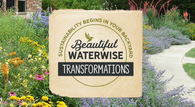 Beautiful Waterwise Transformations