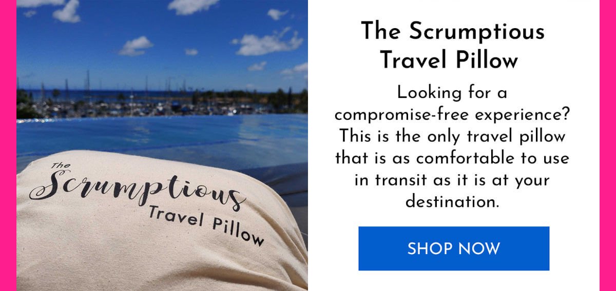The Scrumptious Travel Pillow
