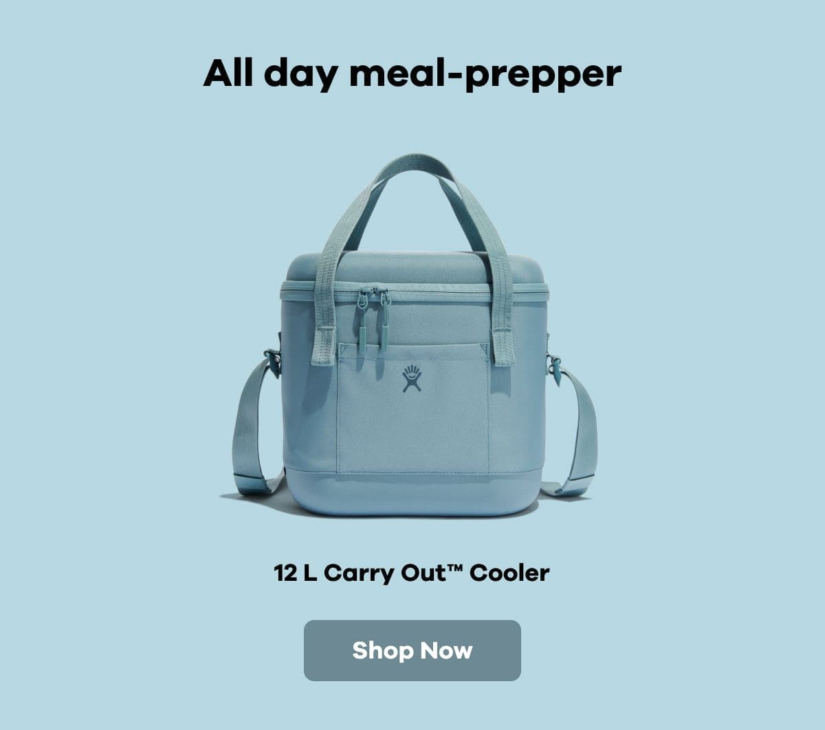 12 L Carry Out™ Soft Cooler | Shop Now