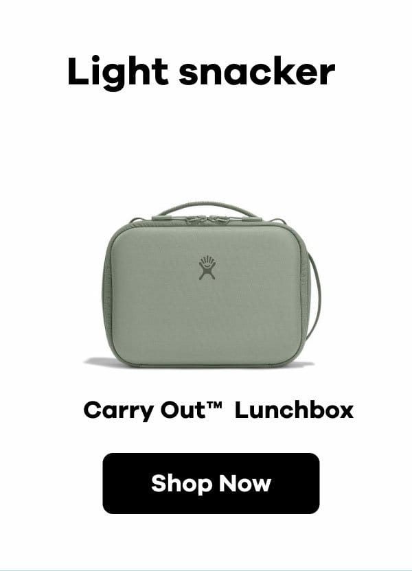 5 L Carry Out™ Lunch Box | Shop Now