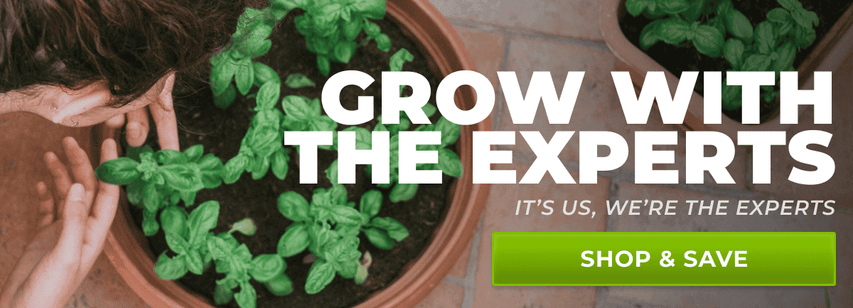 Grow with the experts (it's us, we're the experts) | Shop & Save