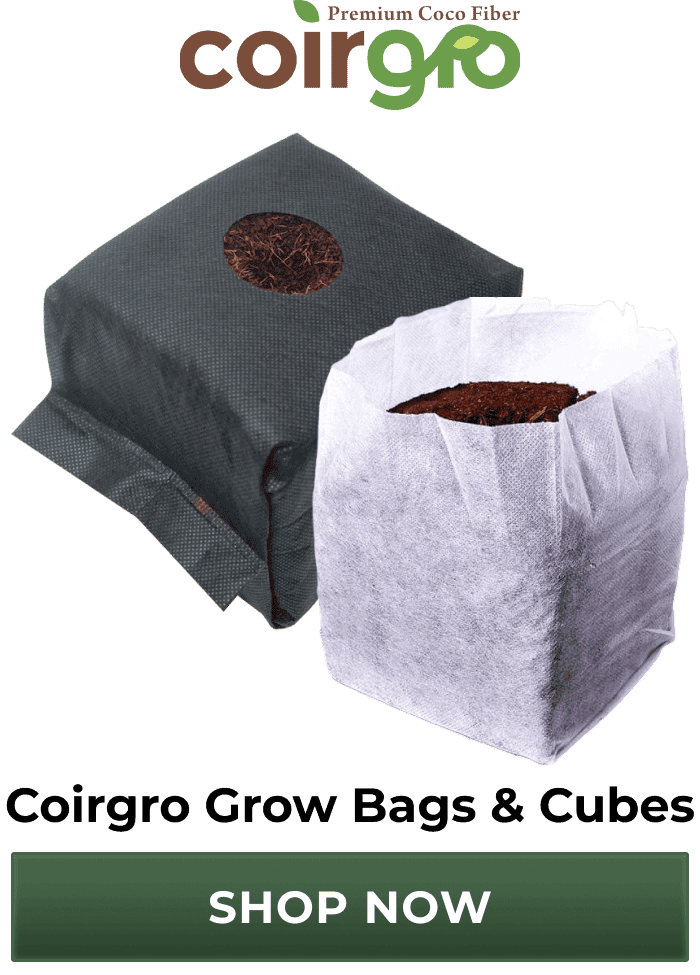 Coirgro Grow Bags & Cubes | Shop Now