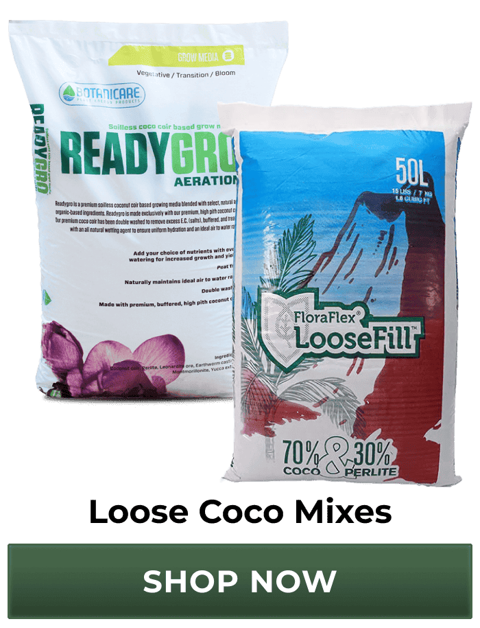 Loose Coco Mix | Shop Now