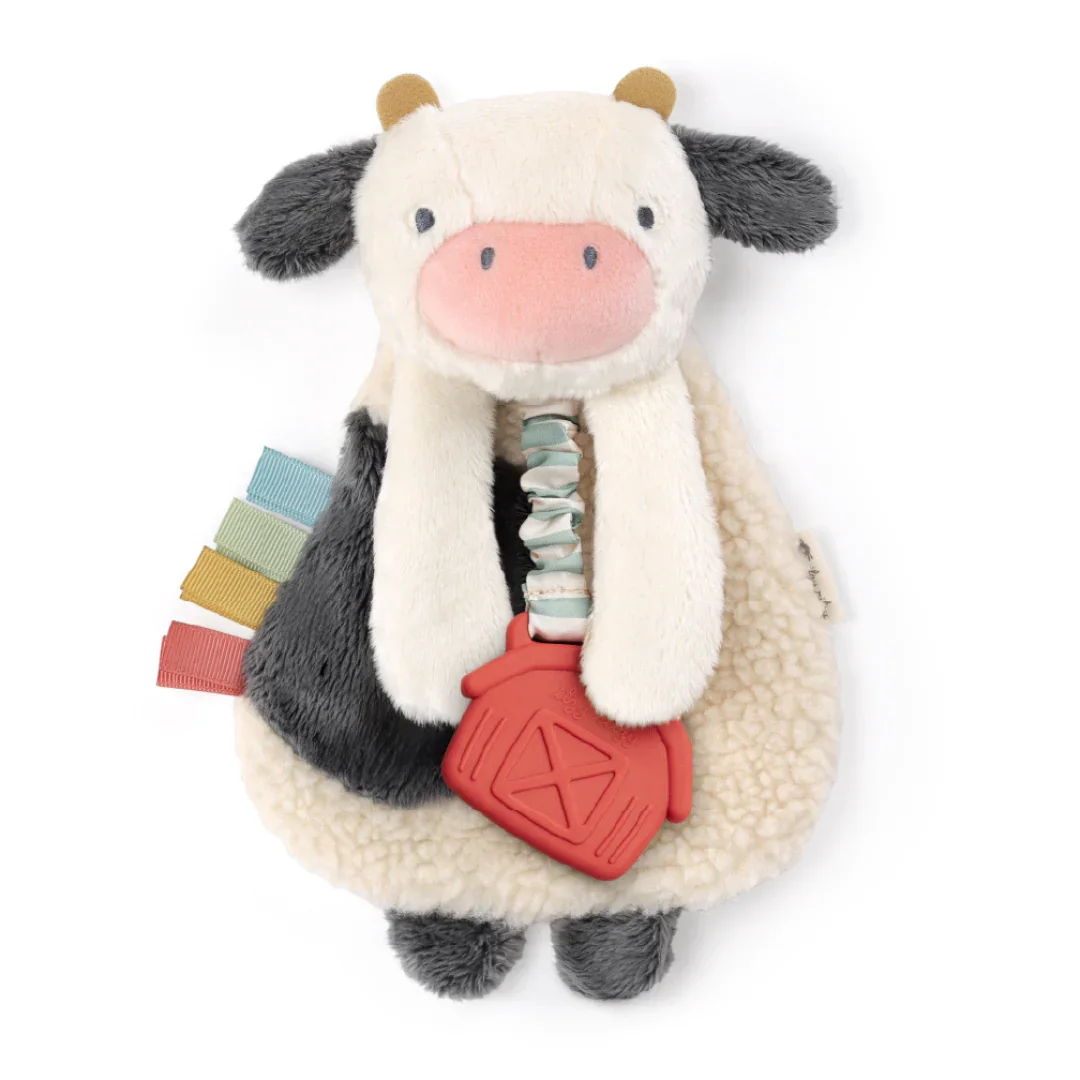 Image of Itzy Lovey™ Plush and Teether Toy