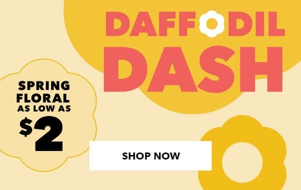 Daffodil Dash Sale. Spring Floral as low as \\$2! SHOP NOW!