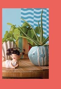 Summer Decor and Planters
