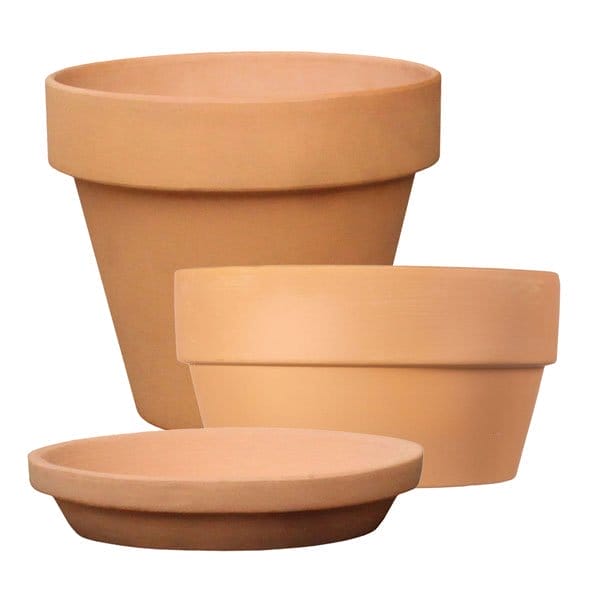 Bloom Room® Spring Terracotta Containers.
