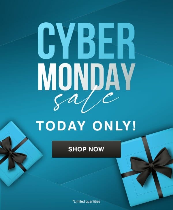 Cyber Monday sale today only
