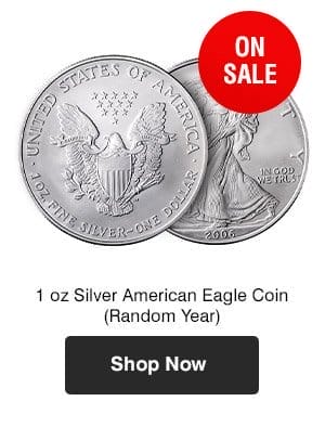 1 oz Silver American Eagle Random Year