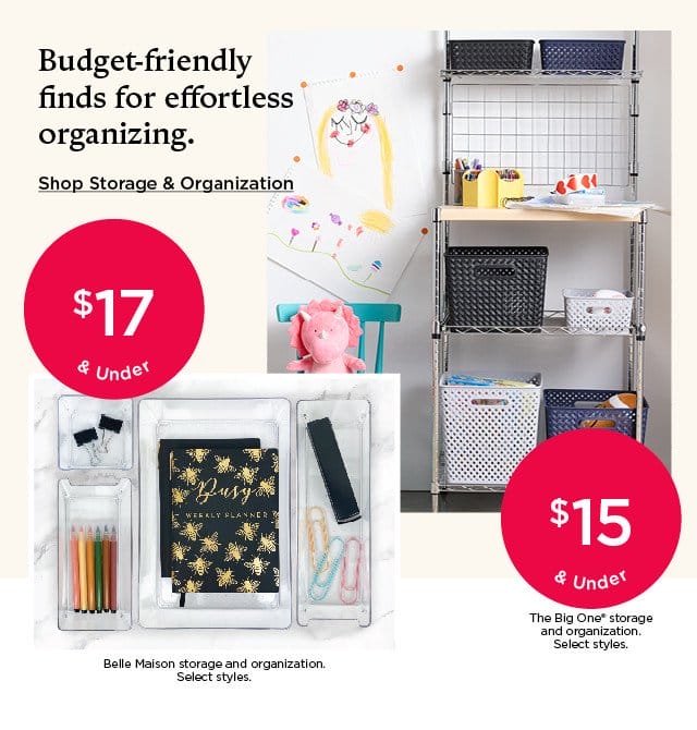 budget-friendly finds for effortless organizing. shop storage and organization.