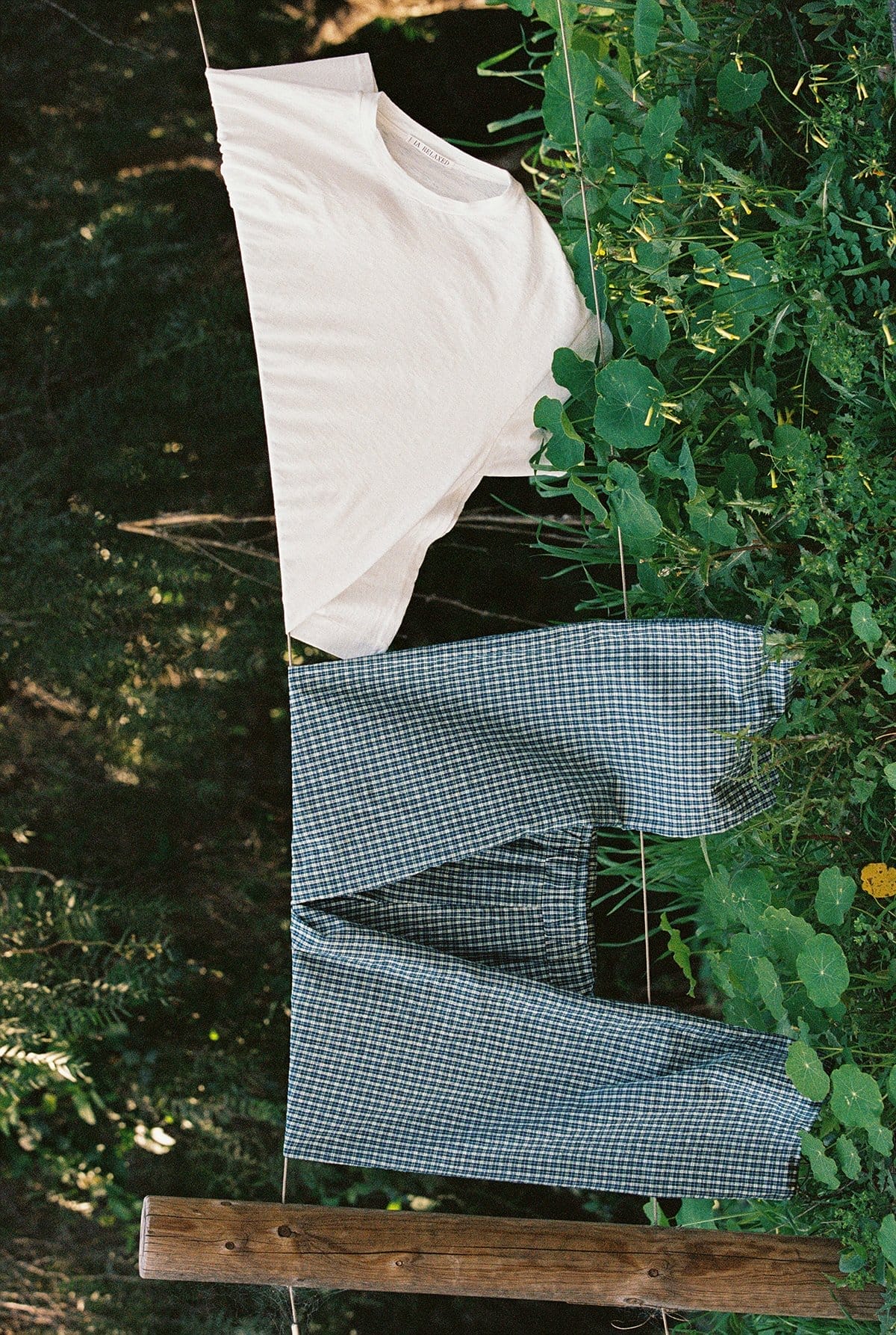 rotated image of plaid pants and a white tee hanging on a clothesline in the forest.