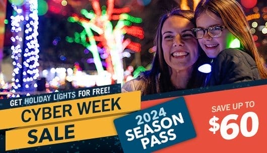 GET HOLIDAY LIGHTS FOR FREE!