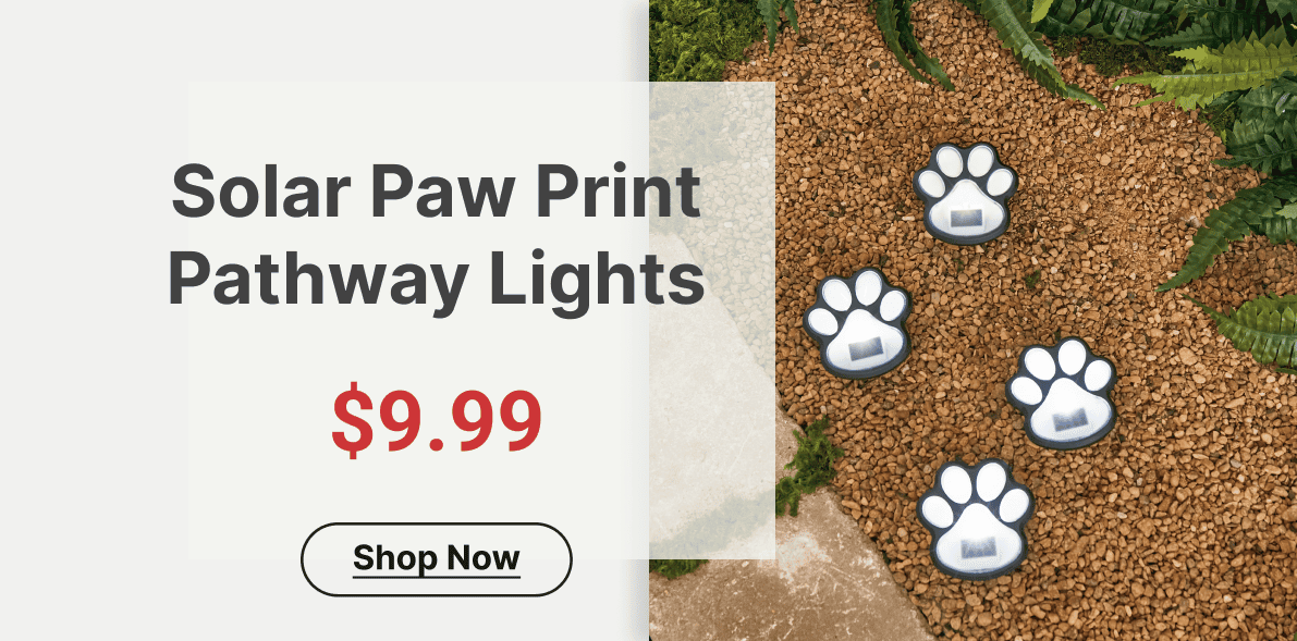 Solar Paw Print Pathway Lights
