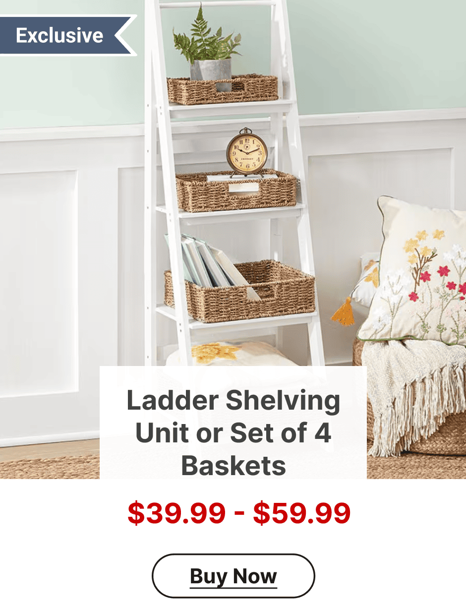 Ladder Shelving Unit or Set of 4 Baskets