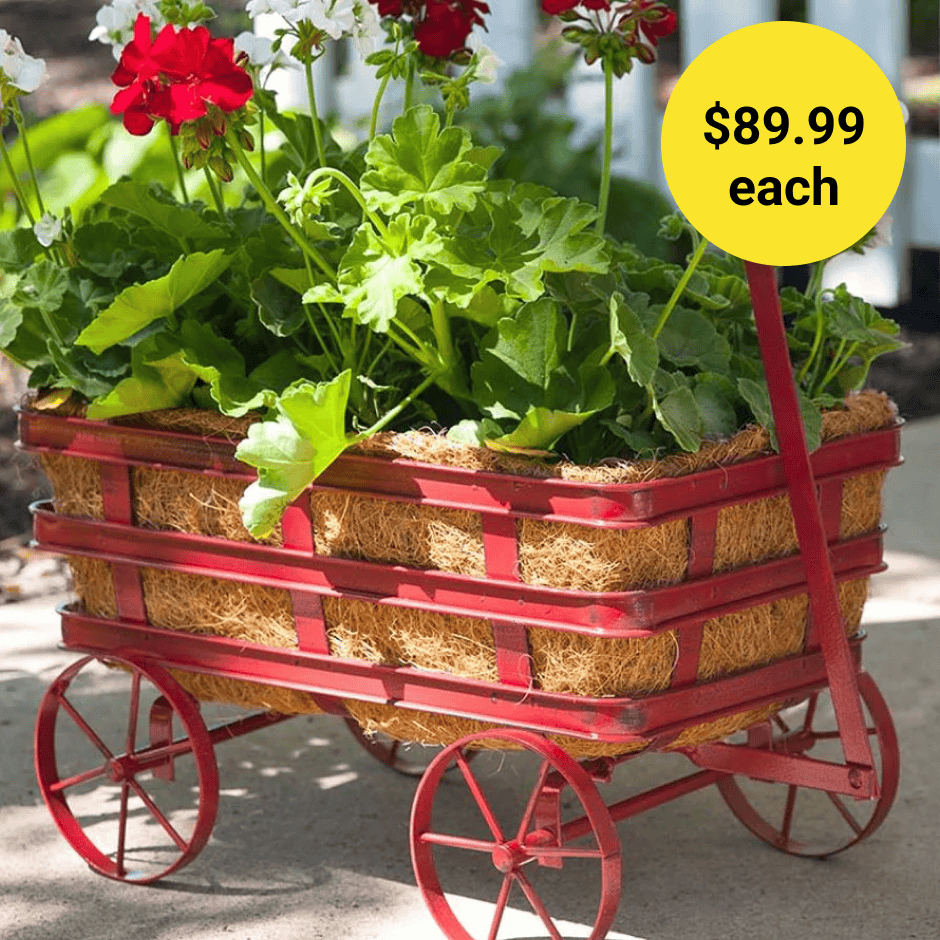 Wagon Planter with Liner