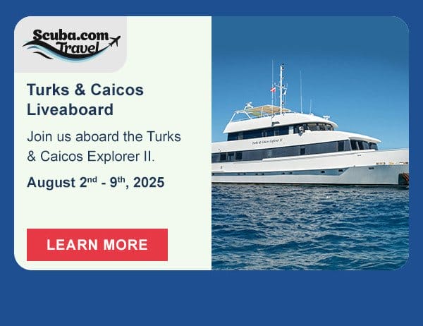 Turks & Caicos Liveaboard | Learn More
