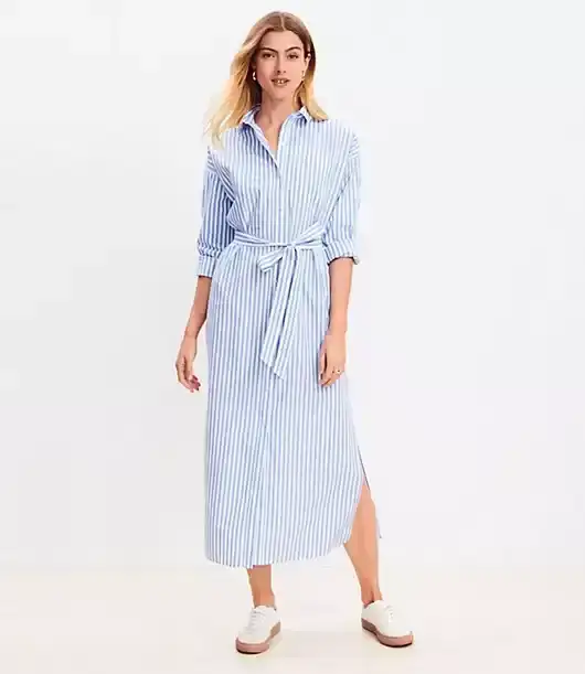 Striped Poplin Belted Pocket Shirtdress