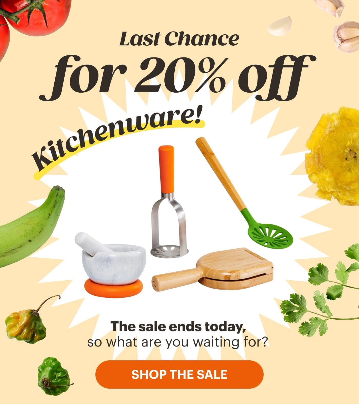 Last Chance for 20% Off Kitchenware! SHOP THE SALE