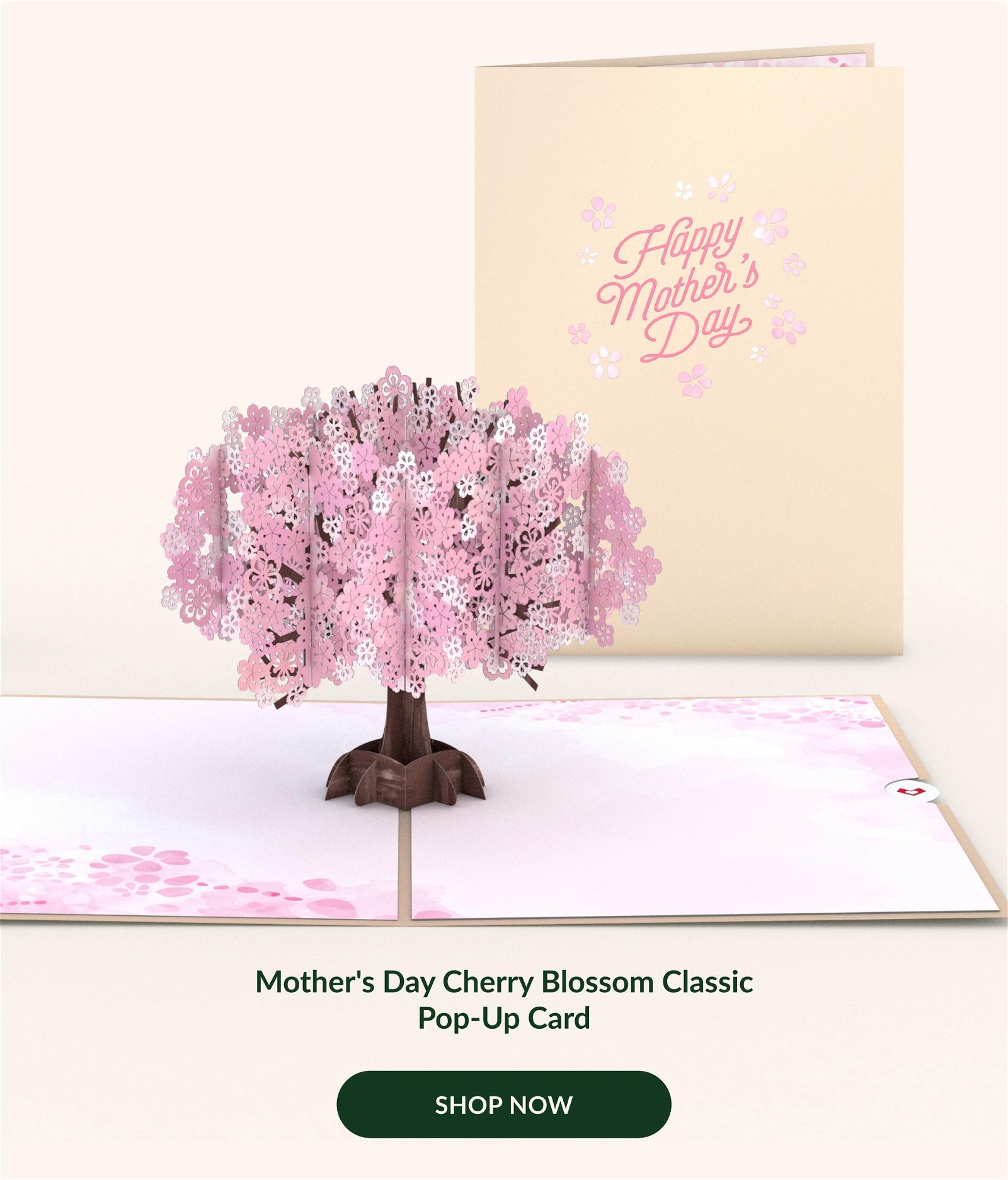Mother's Day Cherry Blossom Classic Pop-Up Card | SHOP NOW