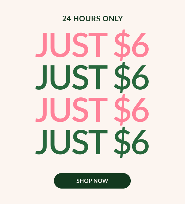 24 Hours Only | JUST \\$6 | SHOP NOW