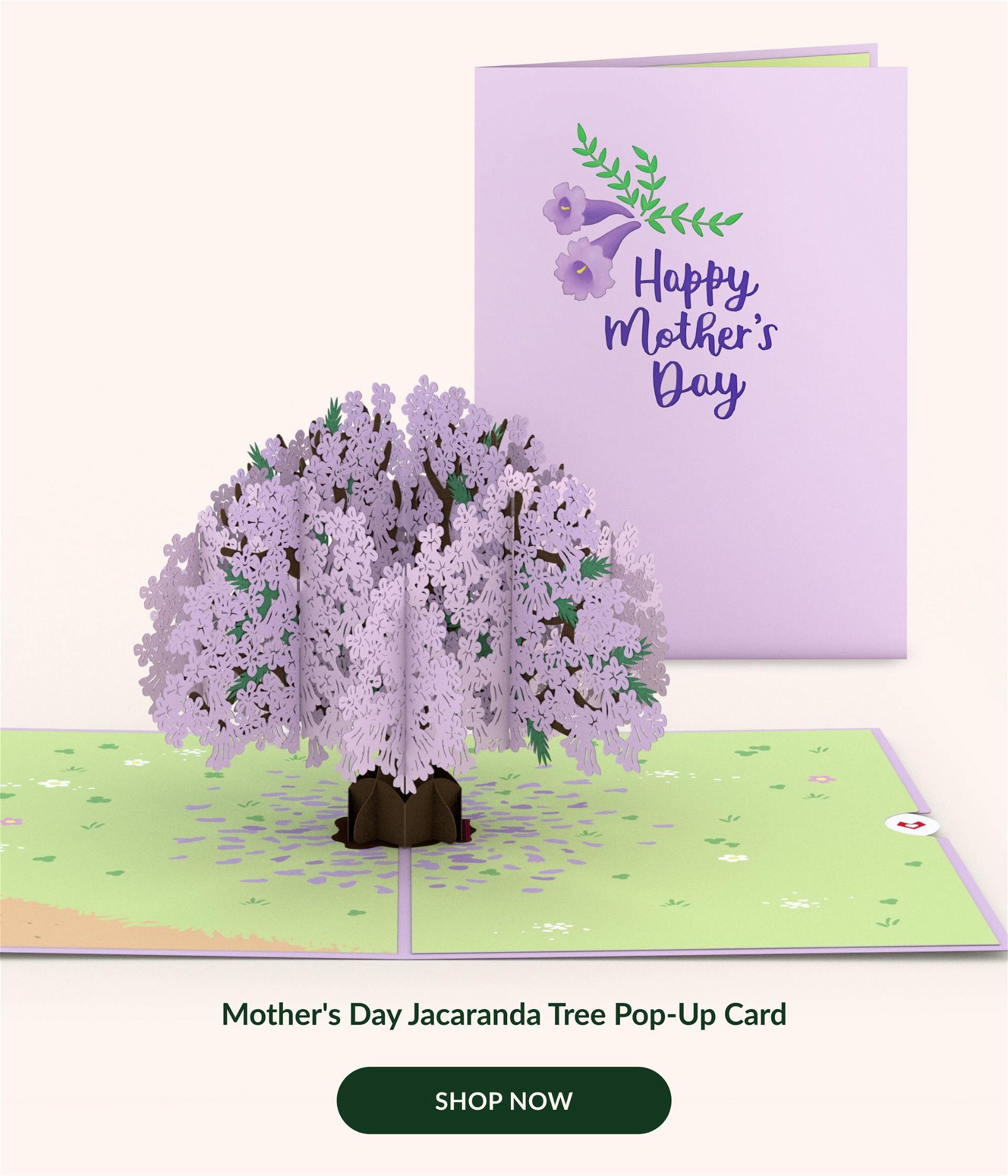 Mother's Day Jacaranda Tree Pop Up Card | SHOP NOW