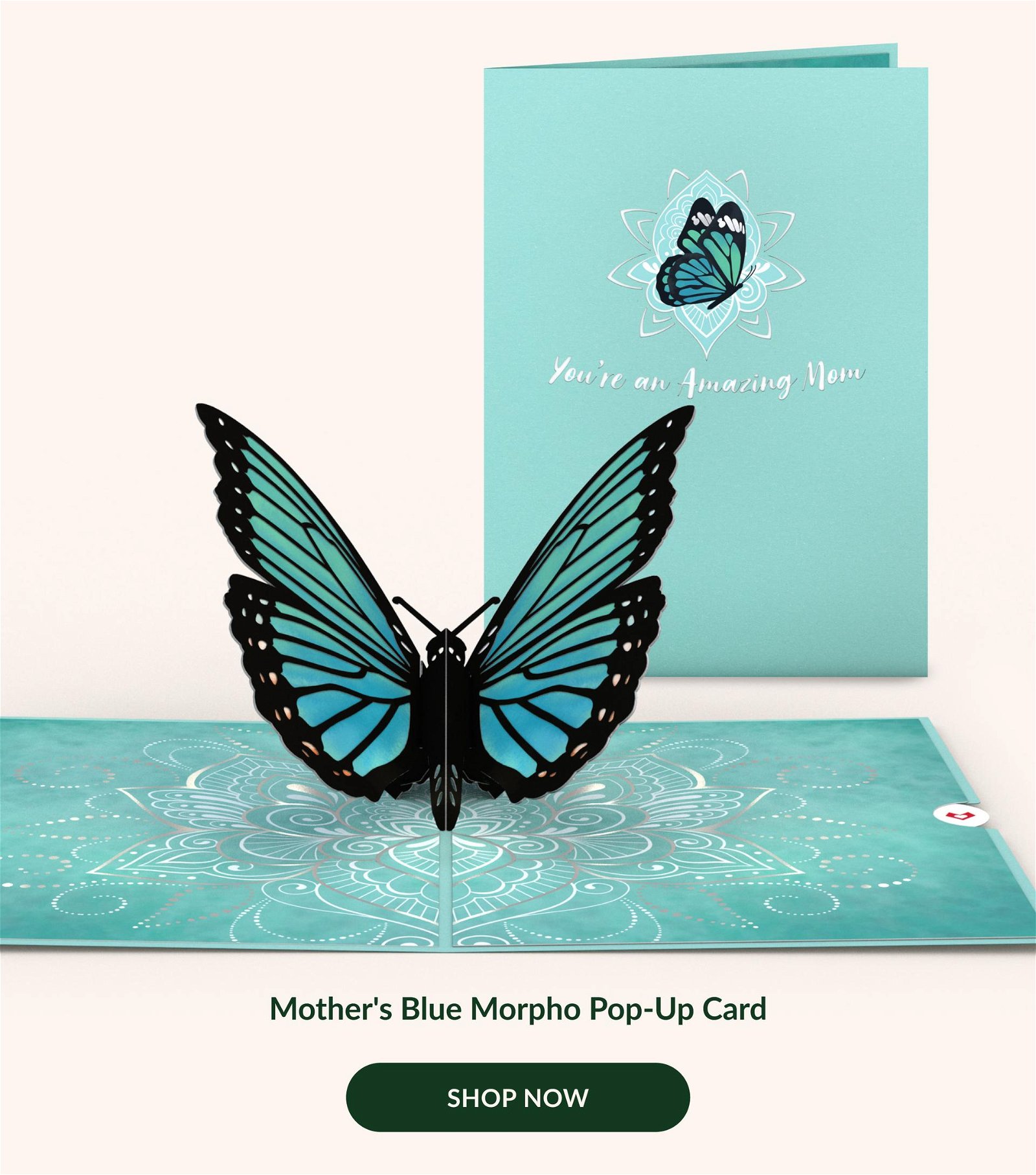 Mother's Blue Morpho Pop-Up Card | SHOP NOW