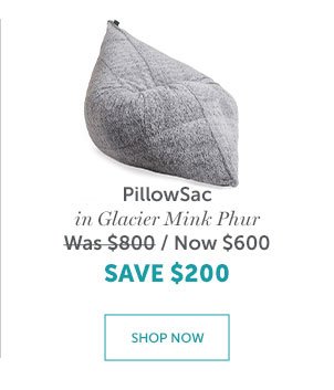 PillowSac | SHOP NOW >>