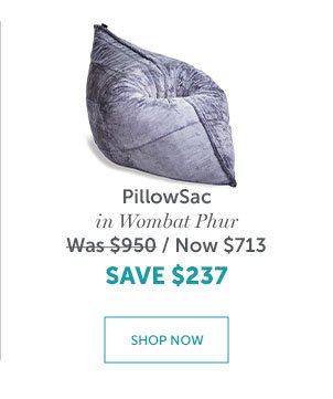 PillowSac | SHOP NOW >>