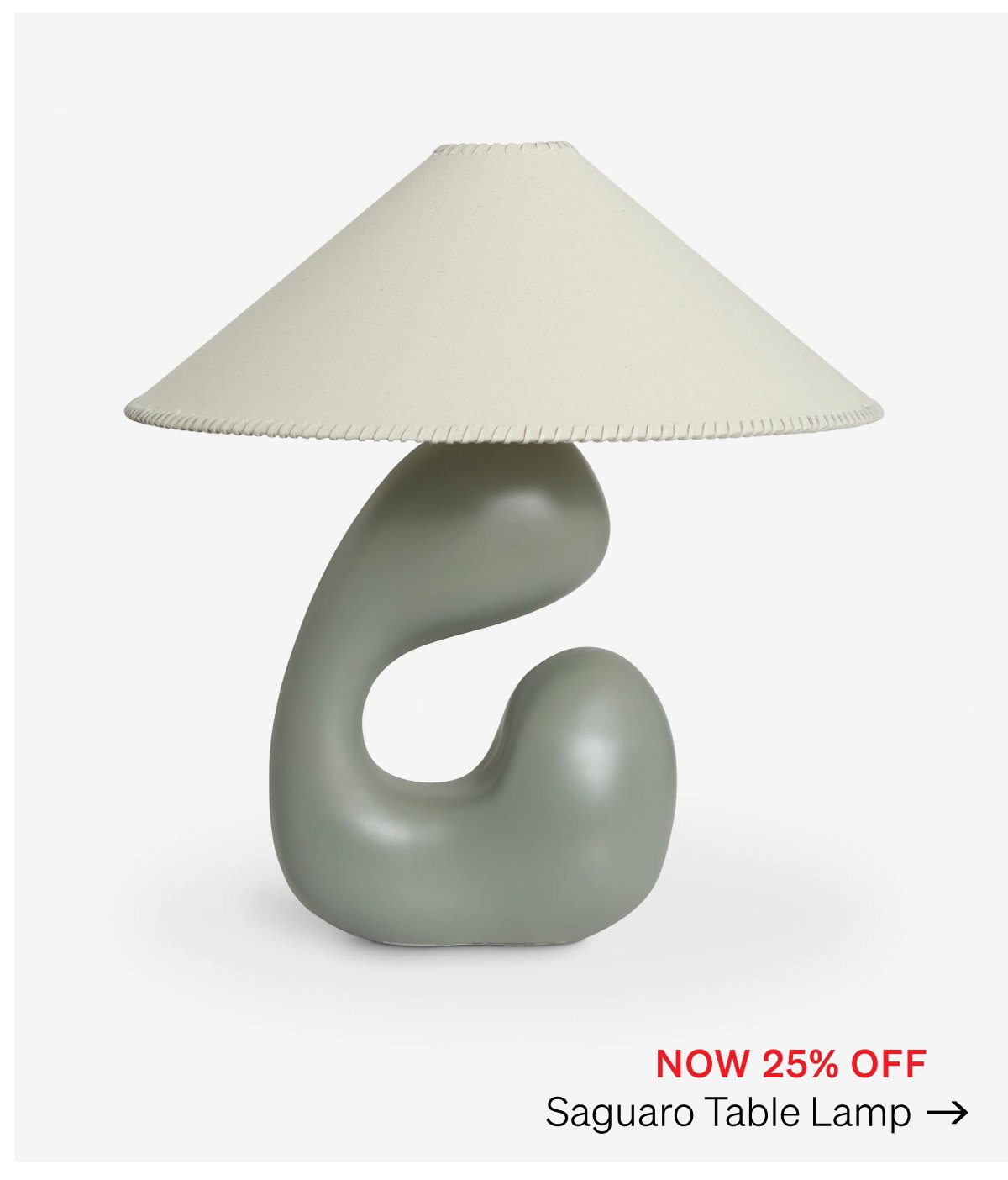 Shop Saguaro Table Lamp