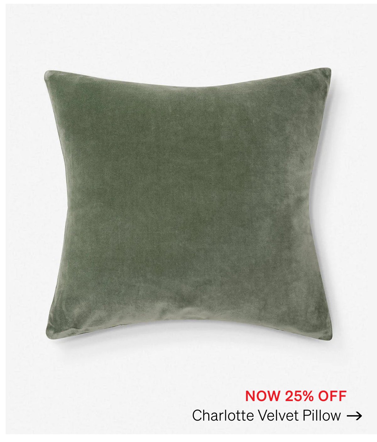 Shop Charlotte Velvet Pillow